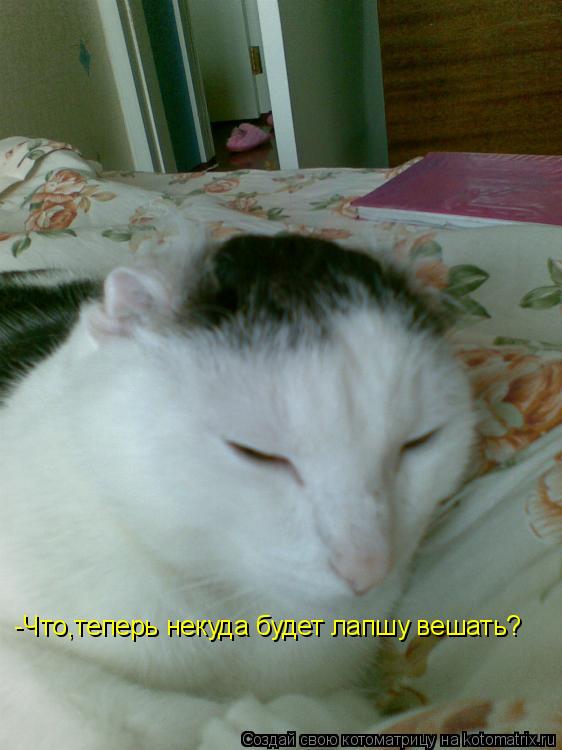 -Что,теперь некуда будет лапшу вешать?... Котоматрица: -Что,теперь некуда будет лапшу вешать?