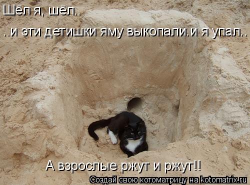 Шёл я, шёл.. ..и эти детишки яму выкопали.и я упал.. А взрослые ржут и ржут!!... Котоматрица: Шёл я, шёл.. ..и эти детишки яму выкопали.и я упал.. А взрослые ржут и ржут!!