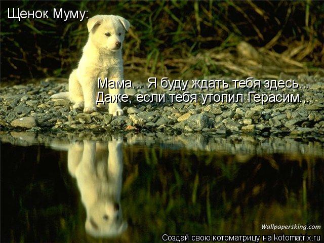 Щенок Муму: Мама... Я буду ждать тебя здесь... Даже, если тебя утопил Герасим...... Котоматрица: Щенок Муму: Мама... Я буду ждать тебя здесь... Даже, если тебя утопил Герасим...