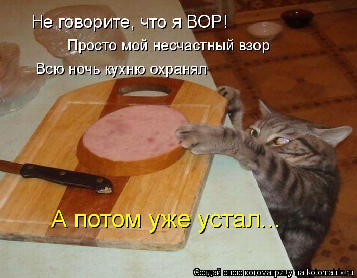 Не говорите, что я ВОР! Просто мой несчастный взор Всю ночь кухню охранял А потом уже устал...... Котоматрица: Не говорите, что я ВОР! Просто мой несчастный взор Всю ночь кухню охранял А потом уже устал...