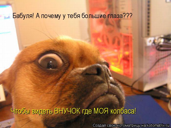 Бабуля! А почему у тебя большие глаза??? Чтобы видеть ВНУЧОК где МОЯ колбаса!... Котоматрица: Бабуля! А почему у тебя большие глаза??? Чтобы видеть ВНУЧОК где МОЯ колбаса!