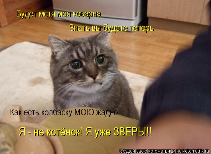Будет мстя моя коварна Знать вы будете теперь Как есть колбаску МОЮ жадно! Я - не котёнок! Я уже ЗВ... Котоматрица: Будет мстя моя коварна Знать вы будете теперь Как есть колбаску МОЮ жадно! Я - не котёнок! Я уже ЗВЕРЬ!!!