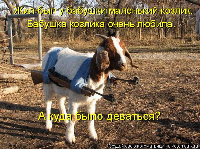 Жил-был у бабушки маленький козлик. Бабушка козлика очень любила. А куда было деваться?... Котоматрица: Жил-был у бабушки маленький козлик. Бабушка козлика очень любила. А куда было деваться?
