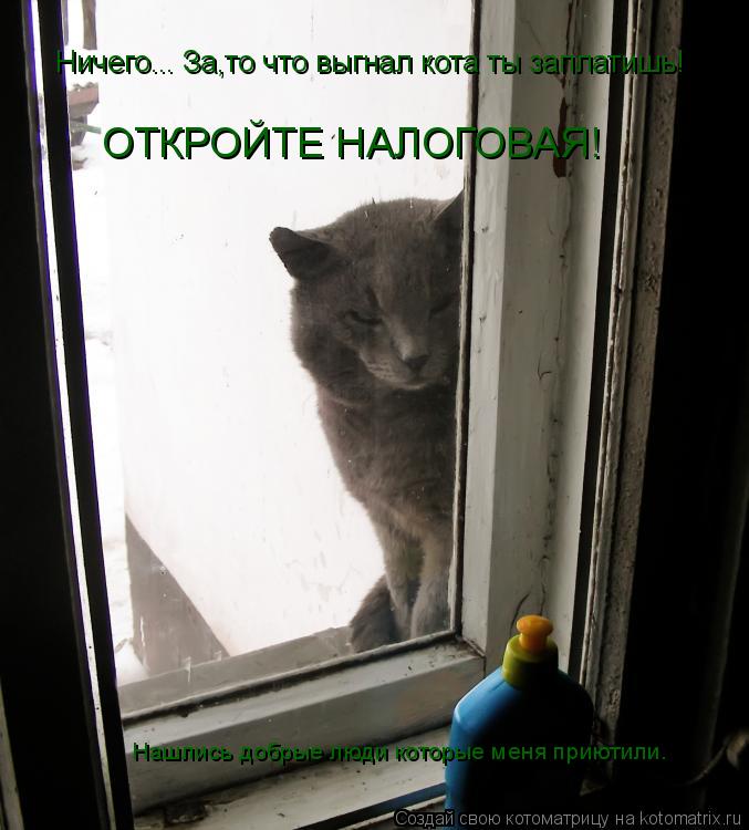 Ничего... За,то что выгнал кота ты заплатишь! ОТКРОЙТЕ НАЛОГОВАЯ! Нашлись добрые люди которые меня пр... Котоматрица: Ничего... За,то что выгнал кота ты заплатишь! ОТКРОЙТЕ НАЛОГОВАЯ! Нашлись добрые люди которые меня приютили.