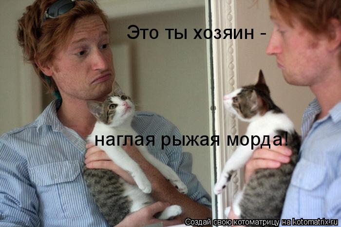 Котоматрица: Это ты хозяин -  наглая рыжая морда!