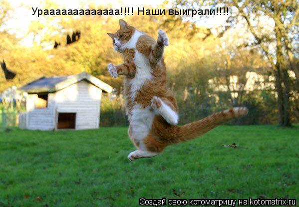 Котоматрица: Урааааааааааааа!!!! Наши выиграли!!!!