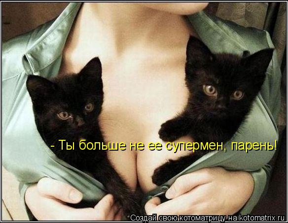 Котоматрица: - Ты больше не ее супермен, парень!