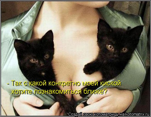 - Так с какой конкретно моей киской хотите познакомиться ближе?... Котоматрица: - Так с какой конкретно моей киской хотите познакомиться ближе?