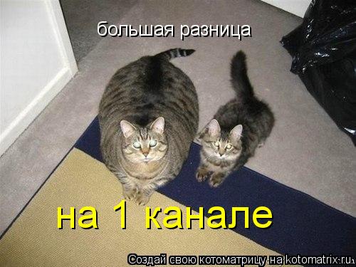 большая разница на 1 канале... Котоматрица: большая разница на 1 канале