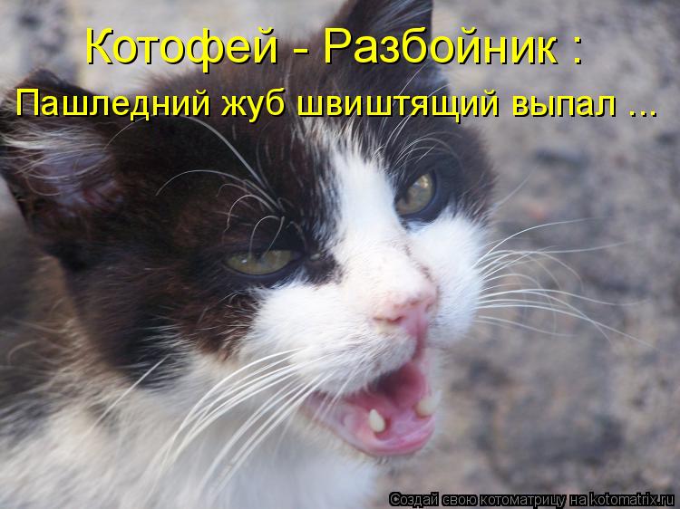 Котофей - Разбойник : Пашледний жуб швиштящий выпал ...... Котоматрица: Котофей - Разбойник : Пашледний жуб швиштящий выпал ...