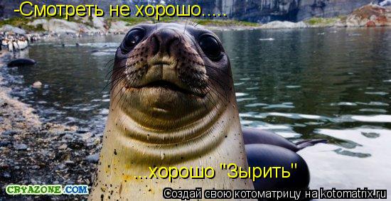 -Смотреть не хорошо..... ...хорошо "Зырить"... Котоматрица: -Смотреть не хорошо..... ...хорошо "Зырить"