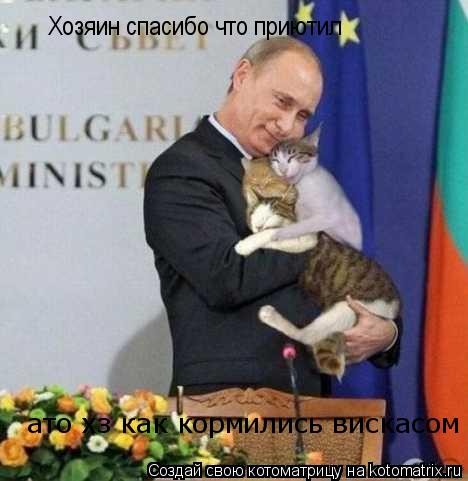 Хозяин спасибо что приютил ато хз как кормились вискасом... Котоматрица: Хозяин спасибо что приютил ато хз как кормились вискасом