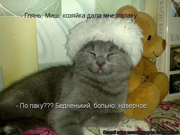 - Глянь, Миш, хозяйка дала мне папаху. - По паху??? Бедненький, больно, наверное.... Котоматрица: - Глянь, Миш, хозяйка дала мне папаху. - По паху??? Бедненький, больно, наверное.