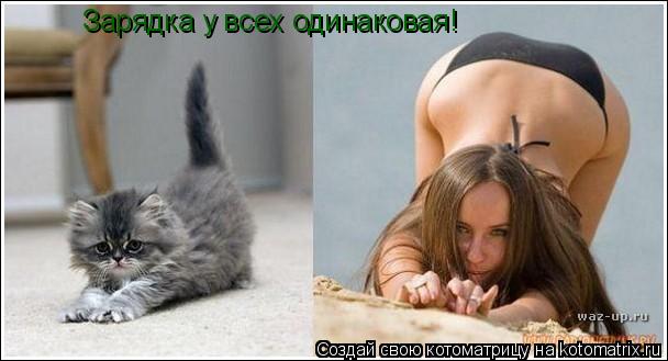 Зарядка у всех одинаковая!... Котоматрица: Зарядка у всех одинаковая!