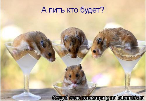 А пить кто будет?... Котоматрица: А пить кто будет?