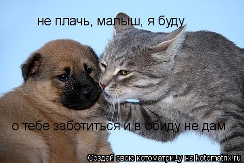не плачь, малыш, я буду о тебе заботиться и в обиду не дам... Котоматрица: не плачь, малыш, я буду о тебе заботиться и в обиду не дам