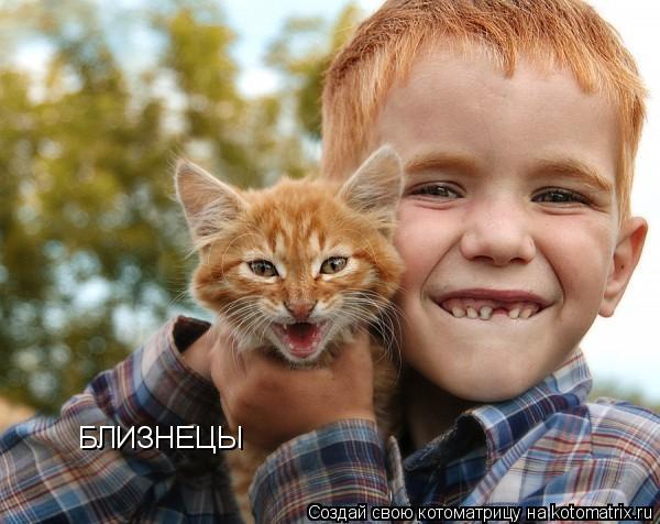 БЛИЗНЕЦЫ... Котоматрица: БЛИЗНЕЦЫ