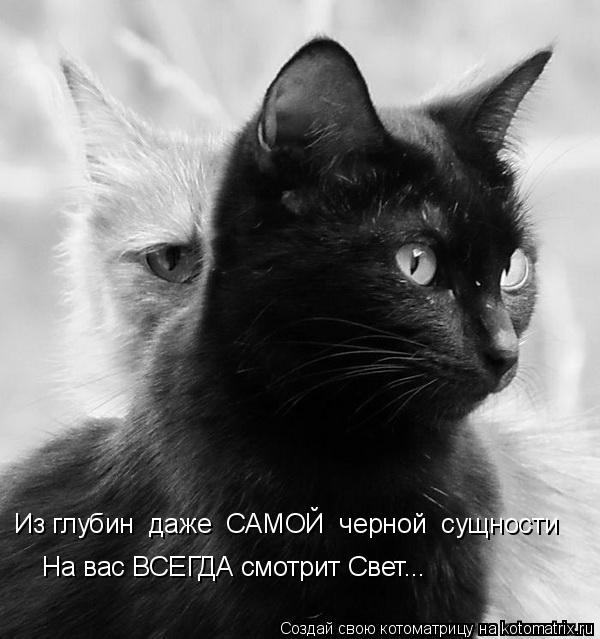 Из глубин даже САМОЙ черной сущности На вас ВСЕГДА смотрит Свет...... Котоматрица: Из глубин даже САМОЙ черной сущности На вас ВСЕГДА смотрит Свет...