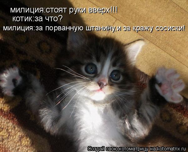 милиция:стоят руки вверх!!! котик:за что? милиция:за порванную штанину,и за кражу сосиски!... Котоматрица: милиция:стоят руки вверх!!! котик:за что? милиция:за порванную штанину,и за кражу сосиски!