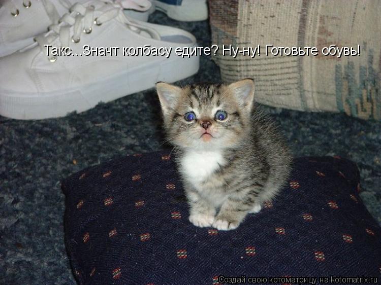 Котоматрица: Такс...Значт колбасу едите? Ну-ну! Готовьте обувь!