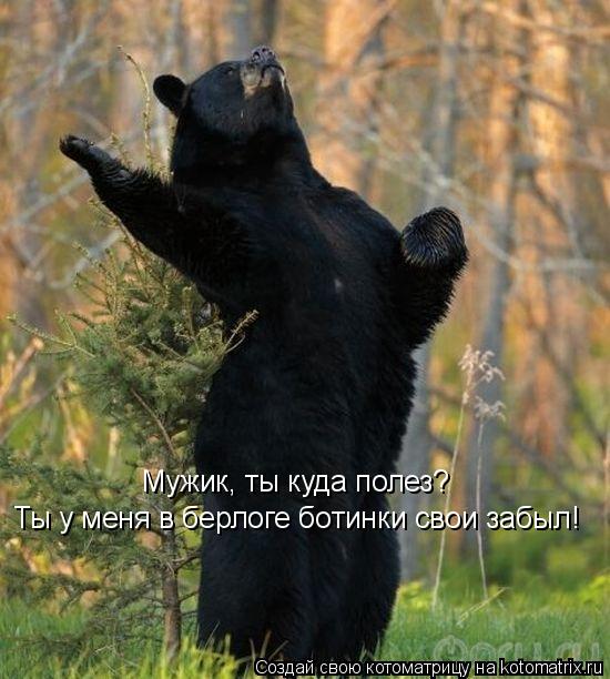 Котоматрица: Мужик, ты куда полез? Ты у меня в берлоге ботинки свои забыл!