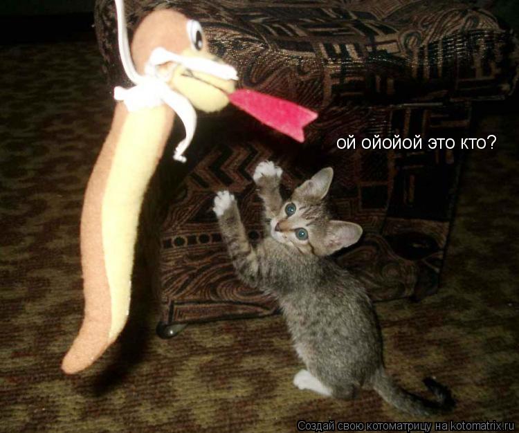 Котоматрица: ой ойойой это кто?
