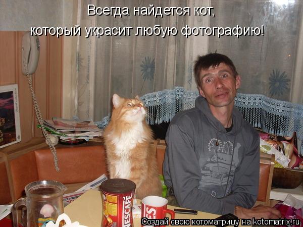 Котоматрица: Всегда найдется кот,  который украсит любую фотографию!
