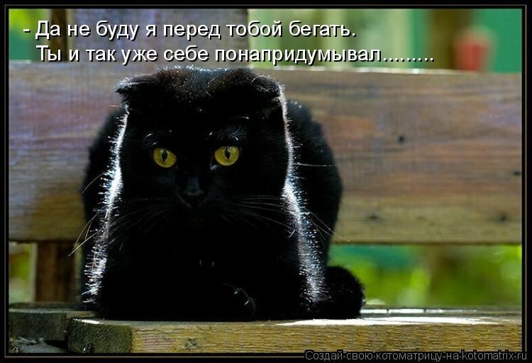 - Да не буду я перед тобой бегать. Ты и так уже себе понапридумывал............ Котоматрица: - Да не буду я перед тобой бегать. Ты и так уже себе понапридумывал.........