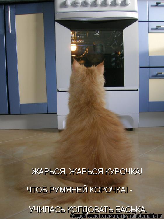 Котоматрица: ЖАРЬСЯ, ЖАРЬСЯ КУРОЧКА! ЧТОБ РУМЯНЕЙ КОРОЧКА! - УЧИЛАСЬ КОЛДОВАТЬ БАСЬКА.