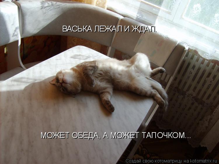 Котоматрица: ВАСЬКА ЛЕЖАЛ И ЖДАЛ. МОЖЕТ ОБЕДА, А МОЖЕТ ТАПОЧКОМ...