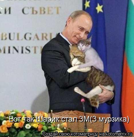 Котоматрица: Вот так Шарик стал 3М(3 мурзика)