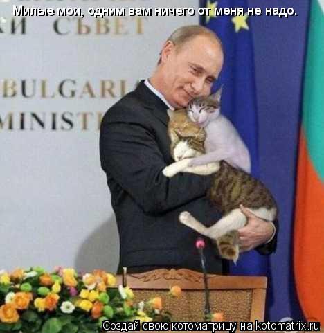 Котоматрица: Милые мои, одним вам ничего от меня не надо.