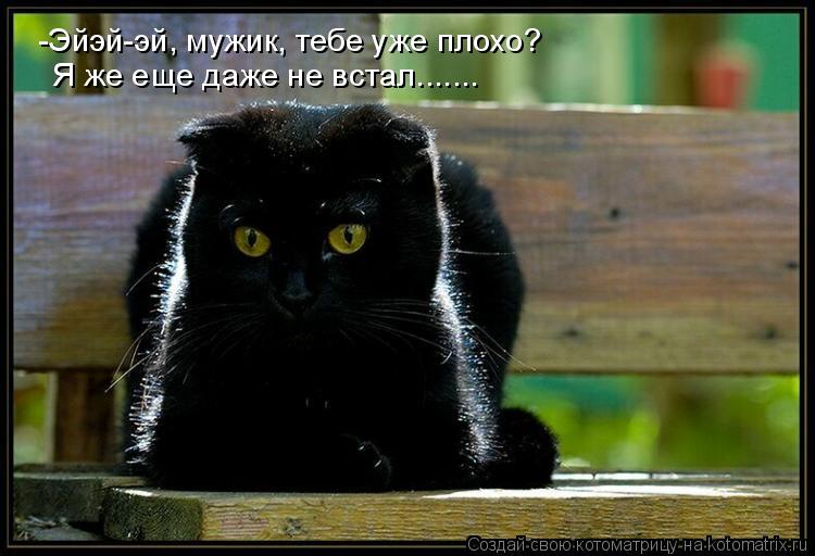 -Эйэй-эй, мужик, тебе уже плохо? Я же еще даже не встал.......... Котоматрица: -Эйэй-эй, мужик, тебе уже плохо? Я же еще даже не встал.......