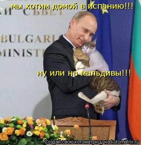 Котоматрица: мы хотим домой в испанию!!!   ну или на мальдивы!!!