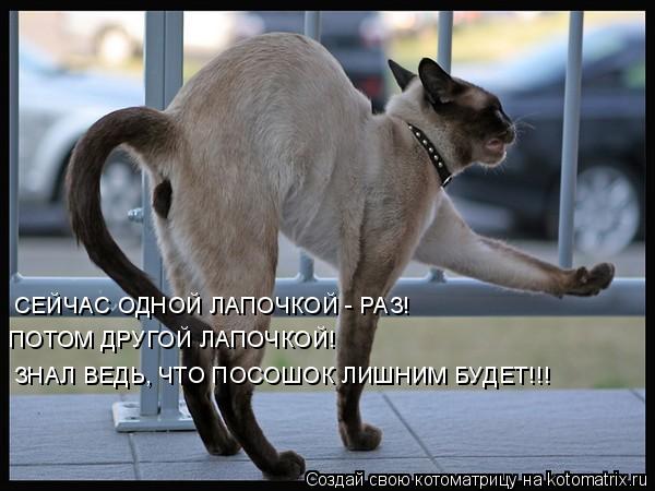 Котоматрица: СЕЙЧАС ОДНОЙ ЛАПОЧКОЙ - РАЗ! ПОТОМ ДРУГОЙ ЛАПОЧКОЙ! ЗНАЛ ВЕДЬ, ЧТО ПОСОШОК ЛИШНИМ БУДЕТ!!!