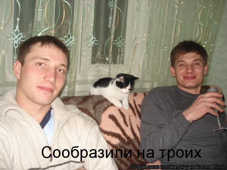 Котоматрица: Сообразили на троих