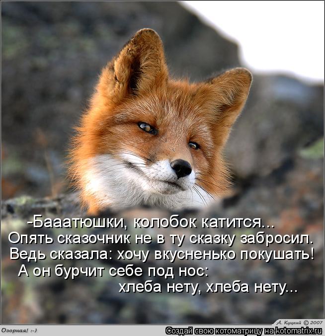 Котоматрица: -Бааатюшки, колобок катится... Опять сказочник не в ту сказку забросил. Ведь сказала: хочу вкусненько покушать! А он бурчит себе под нос: хлеб