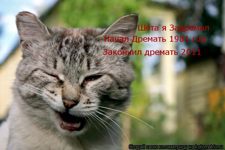 Котоматрица: Шота я Задремал Начал Дремать 1981 год Закончил дремать 2011