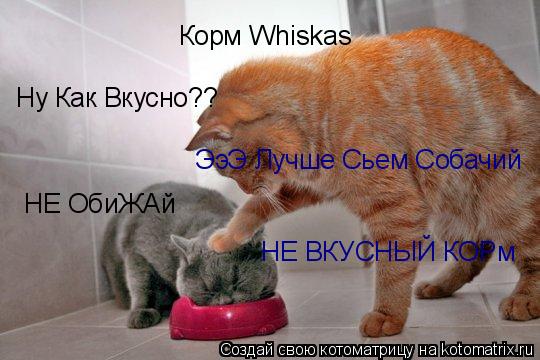 Котоматрица: Корм Whiskas Ну Как Вкусно?? ЭэЭ Лучше Сьем Собачий НЕ ОбиЖАй НЕ ВКУСНЫЙ КОРм