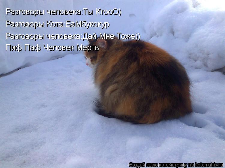 Котоматрица: Разговоры человека:Ты КтооО) Разговоры Кота:БаМбукокур Разговоры человека:Дай Мне Тоже)) Пиф Паф Человек Мертв