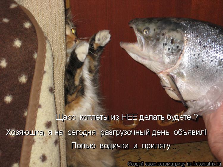 Котоматрица: Хозяюшка, я на  сегодня  разгрузочный день  объявил! Попью  водички  и  прилягу... Щасс  котлеты из НЕЕ делать будете ?