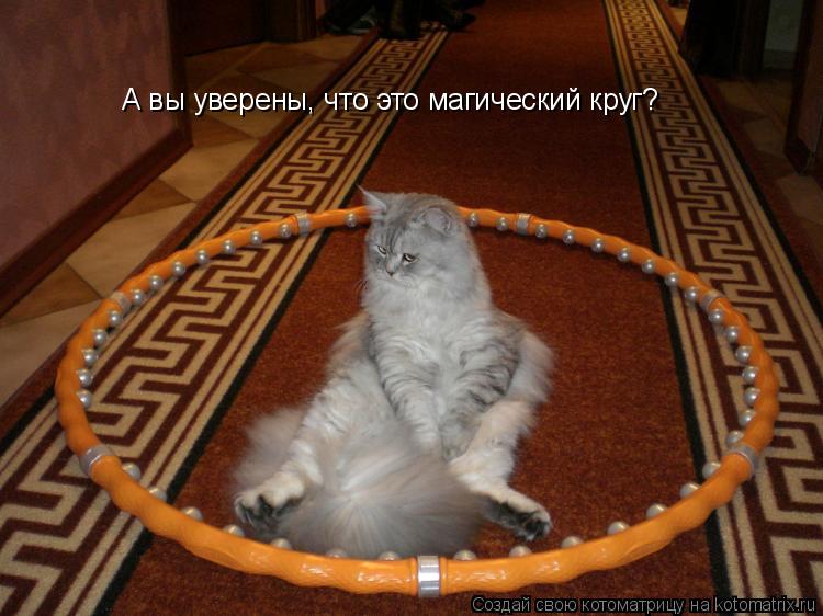 Котоматрица: А вы уверены, что это магический круг?