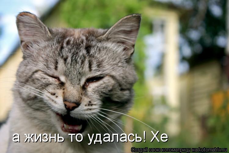 Котоматрица: а жизнь то удалась! Хе