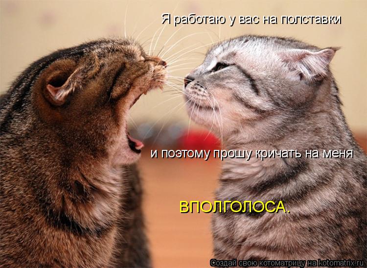 Котоматрица: Я работаю у вас на полставки и поэтому прошу кричать на меня ВПОЛГОЛОСА.