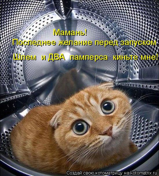 Котоматрица: Мамань! Последнее желание перед запуском  Шлем  и ДВА  памперса  киньте мне!