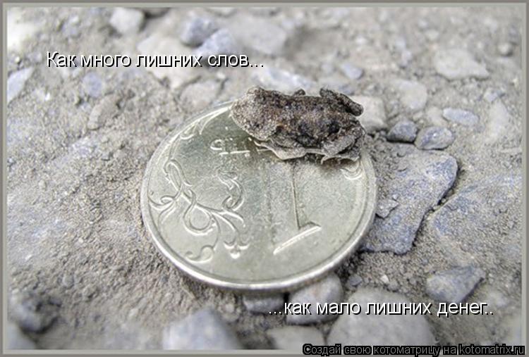 Котоматрица: Как много лишних слов... ...как мало лишних денег..