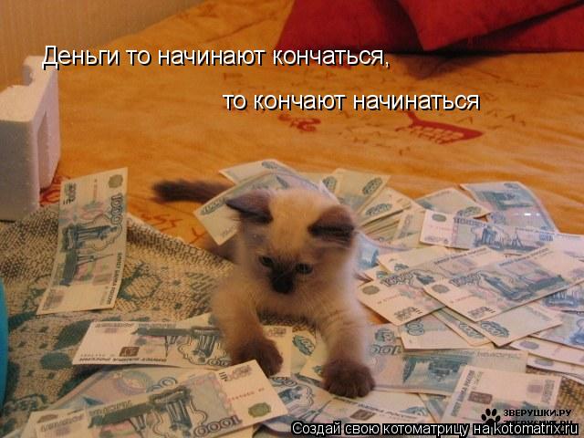 Котоматрица: Деньги то начинают кончаться, то кончают начинаться