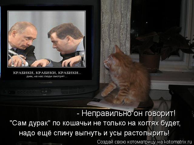 надо ещё спину выгнуть и усы растопырить! "Сам дурак" по кошачьи не только на когтях будет, - Неправи... Котоматрица: надо ещё спину выгнуть и усы растопырить! "Сам дурак" по кошачьи не только на когтях будет, - Неправильно он говорит!