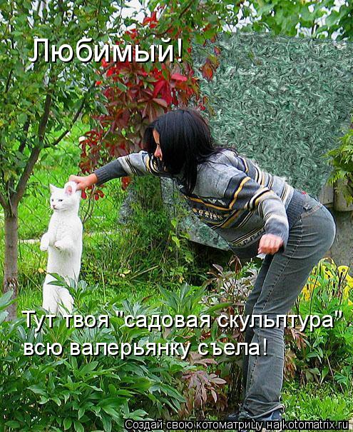 Котоматрица: Любимый! Тут твоя "садовая скульптура" всю валерьянку съела!