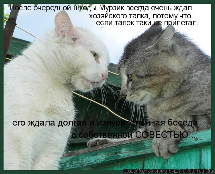 После очередной шкоды Мурзик всегда очень ждал хозяйского тапка, потому что если тапок таки не прилет... Котоматрица: После очередной шкоды Мурзик всегда очень ждал хозяйского тапка, потому что если тапок таки не прилетал, его ждала долгая и изнурительнная